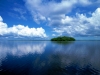 Everglades panorama